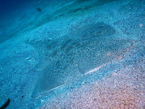 DSCN3248.JPG