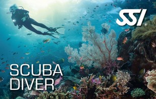 472519_Scuba Diver (Small).jpg