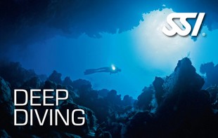 472529_Deep Diving (Small).jpg