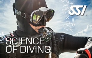 472545_Science of Diving (Small).jpg