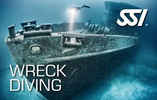 472546_Wreck Diving (Small).jpg