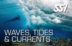 472547_Waves, Tides & Currents (Small).jpg