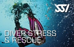 472551_Diver Stress & Rescue (Small).jpg