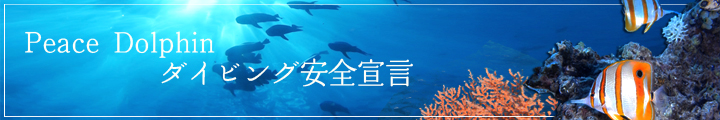 Peace Dolphin ダイビング安全宣言