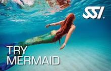 Try Mermaid